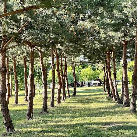 Kleine Weisse Doppelhaushaelfte *