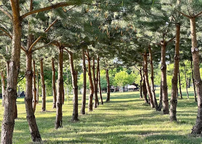 Kleine Weisse Doppelhaushaelfte *